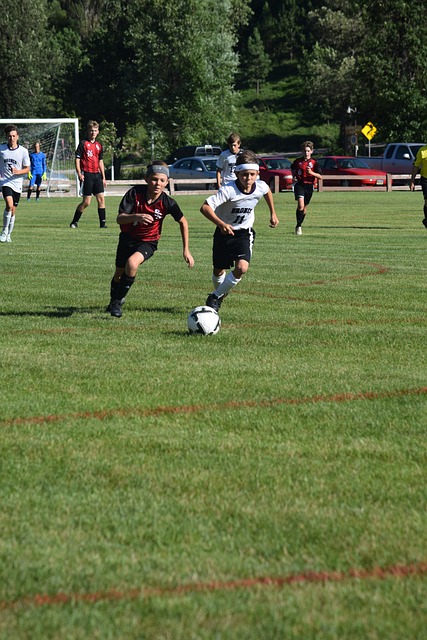 的观察和充 的观察和充