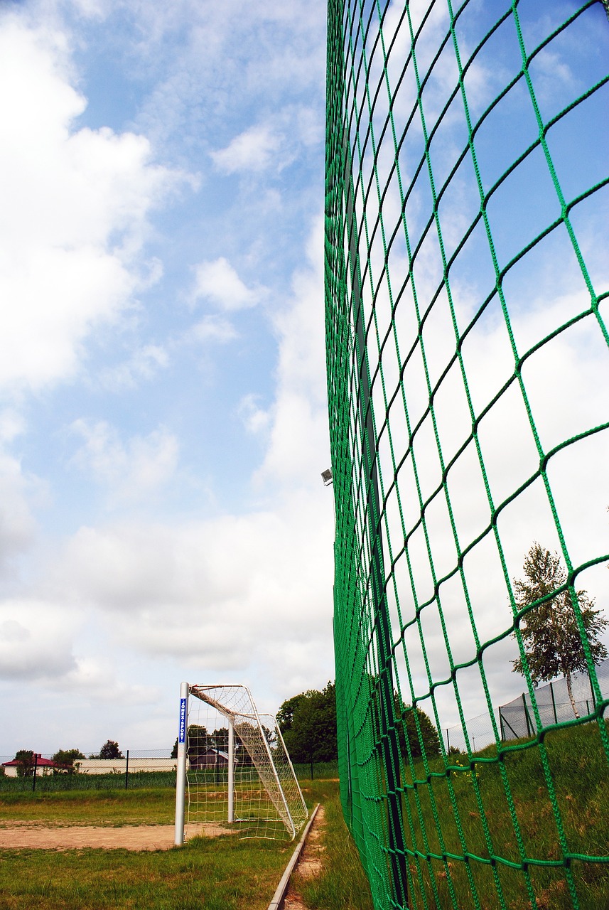 赛的亮点及 赛的亮点及