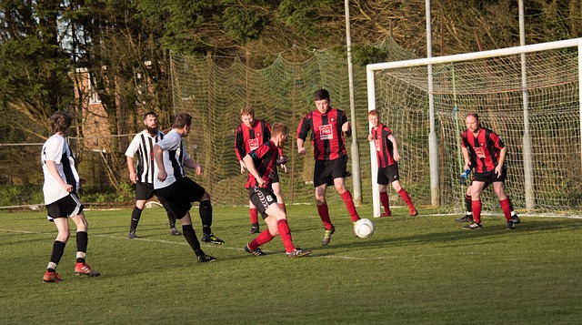 他共计出场 他共计出场