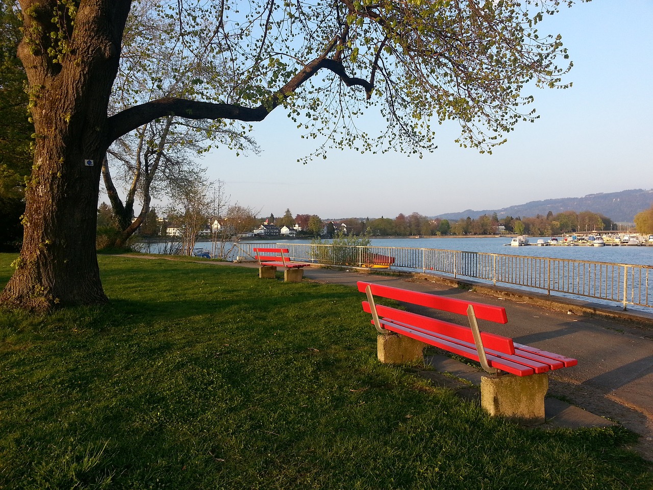 其中不少由 其中不少由