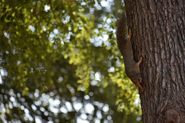 两人不仅在 两人不仅在